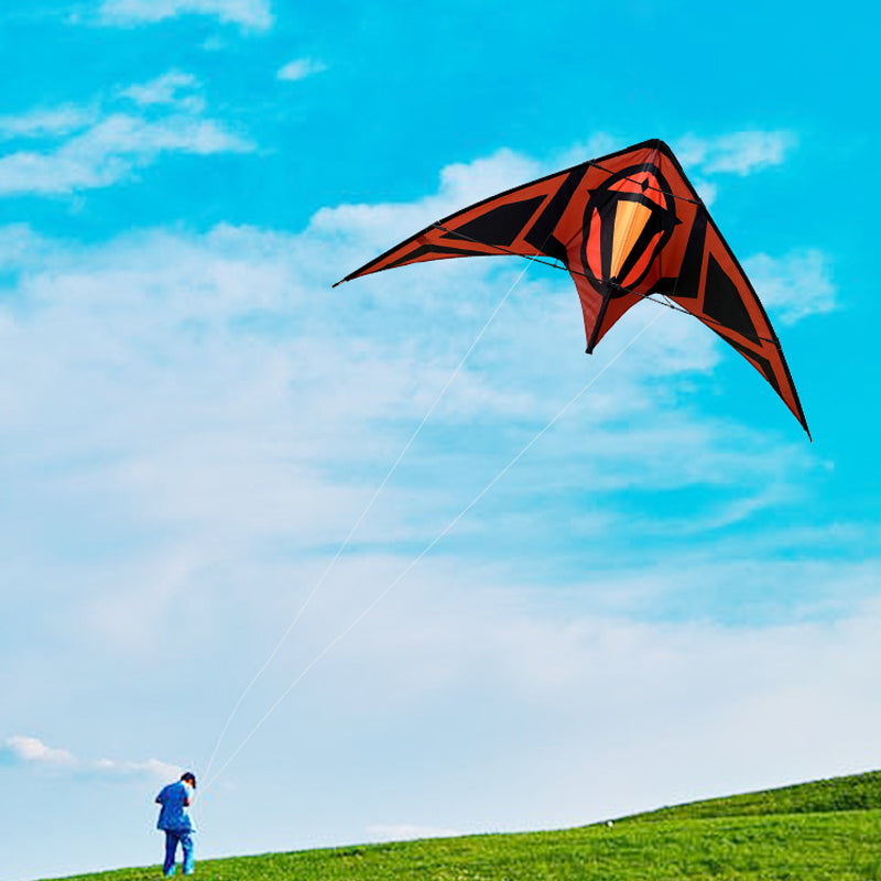 FLYORANGE Professional Double Line Sports Kite, Easy To Fly Large Stunt Kite Park Beach Outdoor Game Kite, Suitable For Children And Adults
