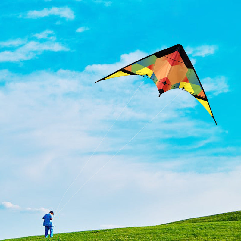 New Double Line Trick Kite Adult Outdoor Sports Kite Seaside Lawn Fun Kite with Kite Thread and Handle