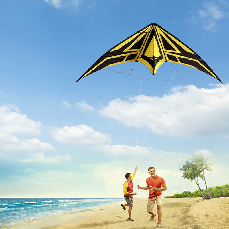 Outdoor Lawn Beach Double Line Competitive Kite, Adult Outdoor Game Sports Kite, Easy To Fly