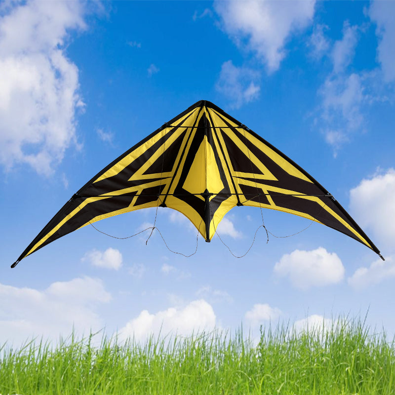 Outdoor Lawn Beach Double Line Competitive Kite, Adult Outdoor Game Sports Kite, Easy To Fly