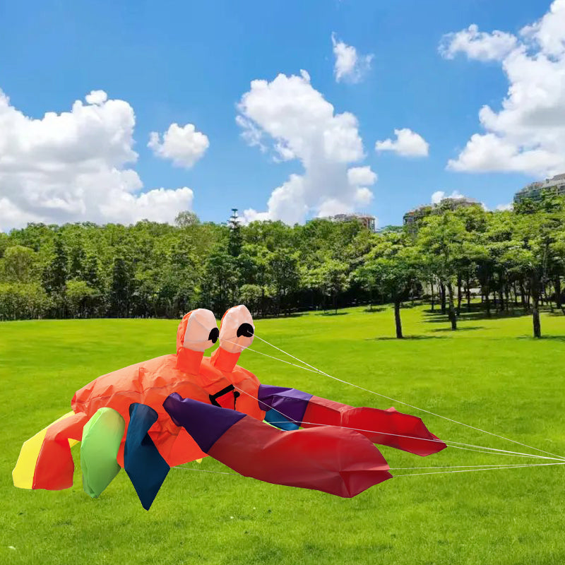 Colorful Crab Wind Emblem Ground Kite, Large Decorations for Seaside Lawn, Toy Kite