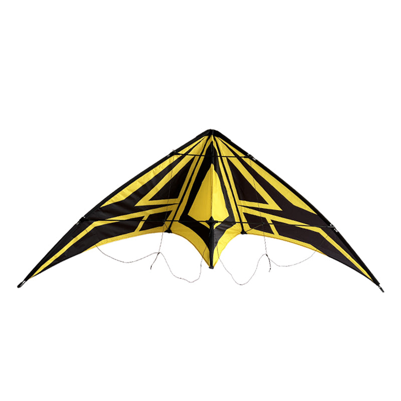 Outdoor Lawn Beach Double Line Competitive Kite, Adult Outdoor Game Sports Kite, Easy To Fly