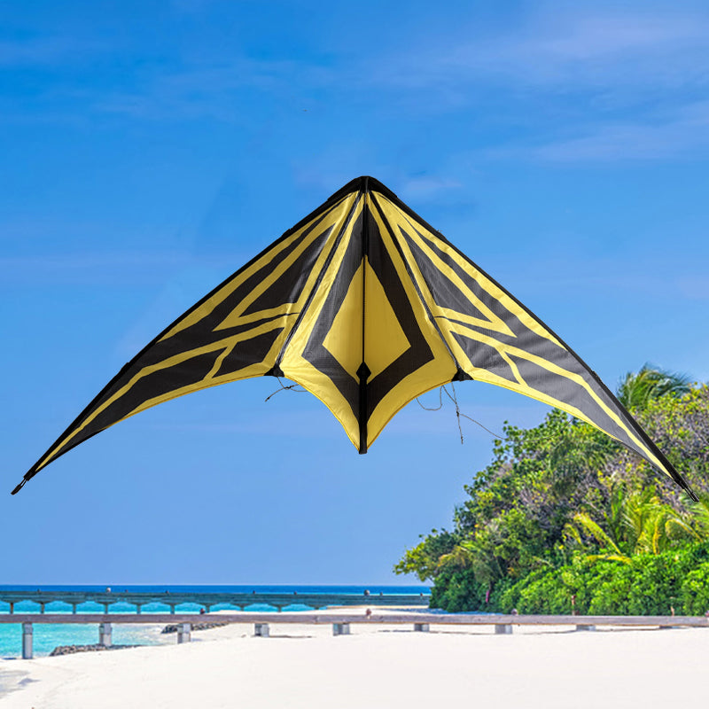 Outdoor Lawn Beach Double Line Competitive Kite, Adult Outdoor Game Sports Kite, Easy To Fly