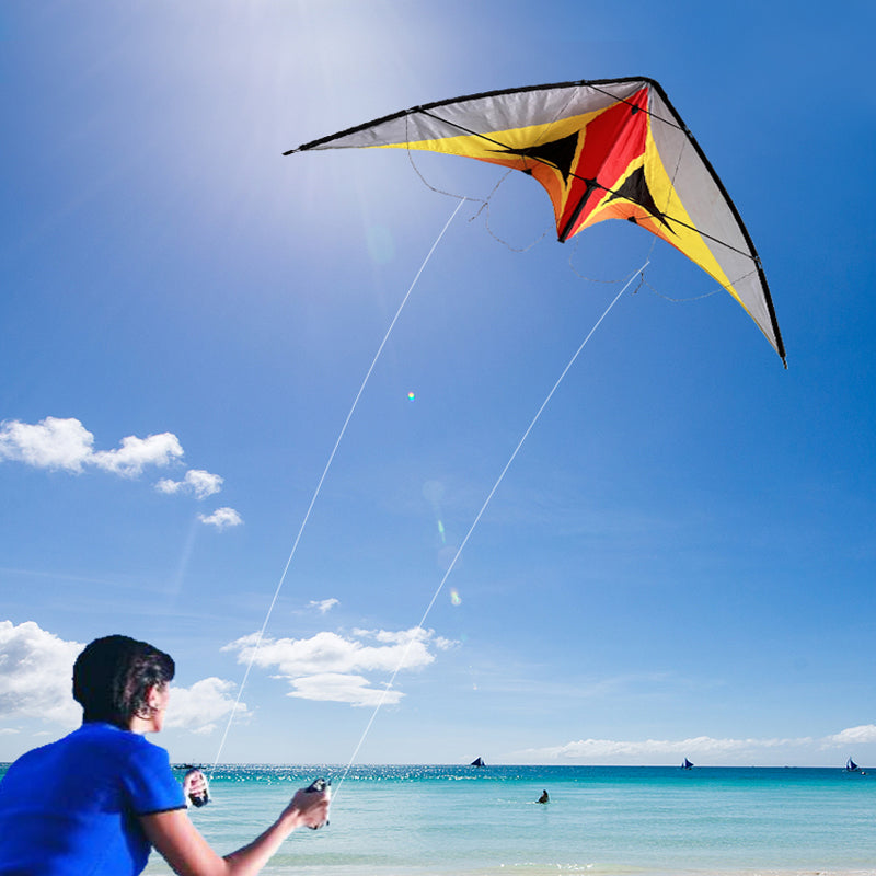 Double Line Triangular Kite Professional Level Sports Stunt Kite Beach Park Performance Kite Easy To Fly Suitable For Adults