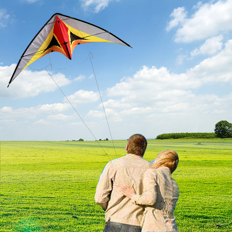 Double Line Triangular Kite Professional Level Sports Stunt Kite Beach Park Performance Kite Easy To Fly Suitable For Adults