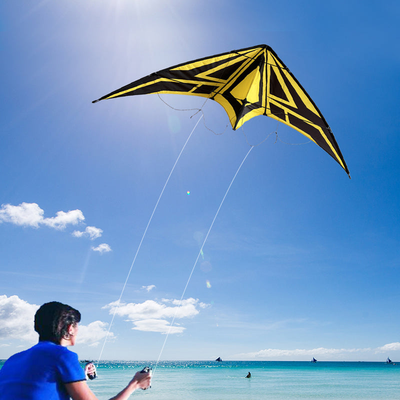 Outdoor Lawn Beach Double Line Competitive Kite, Adult Outdoor Game Sports Kite, Easy To Fly