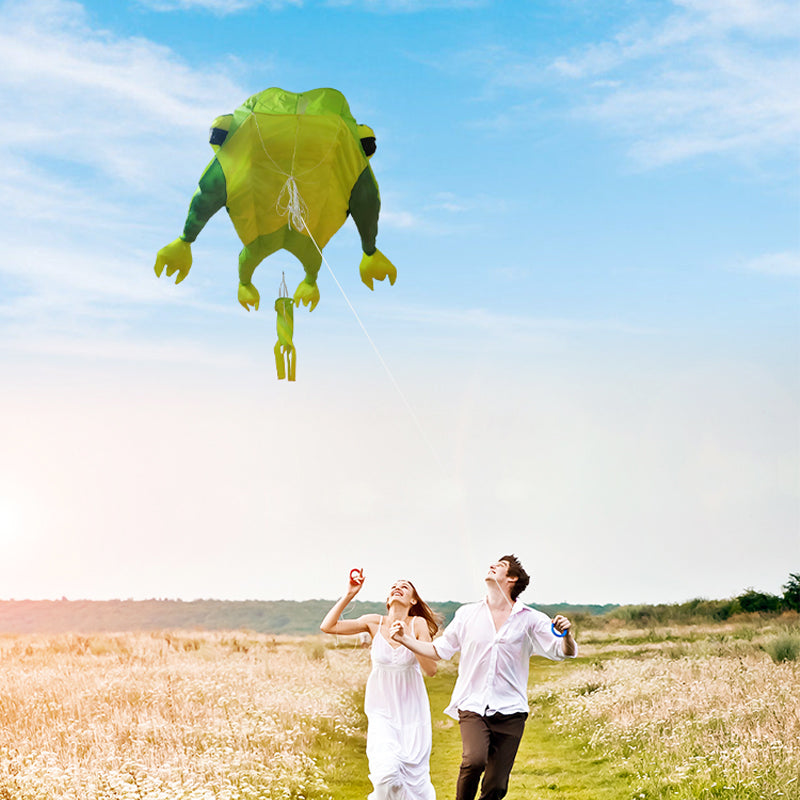 Easy To Fly Large Frog Soft Bodied Kite 3D Animal Kite, Beach Lawn Kite, With Handle And Kite String