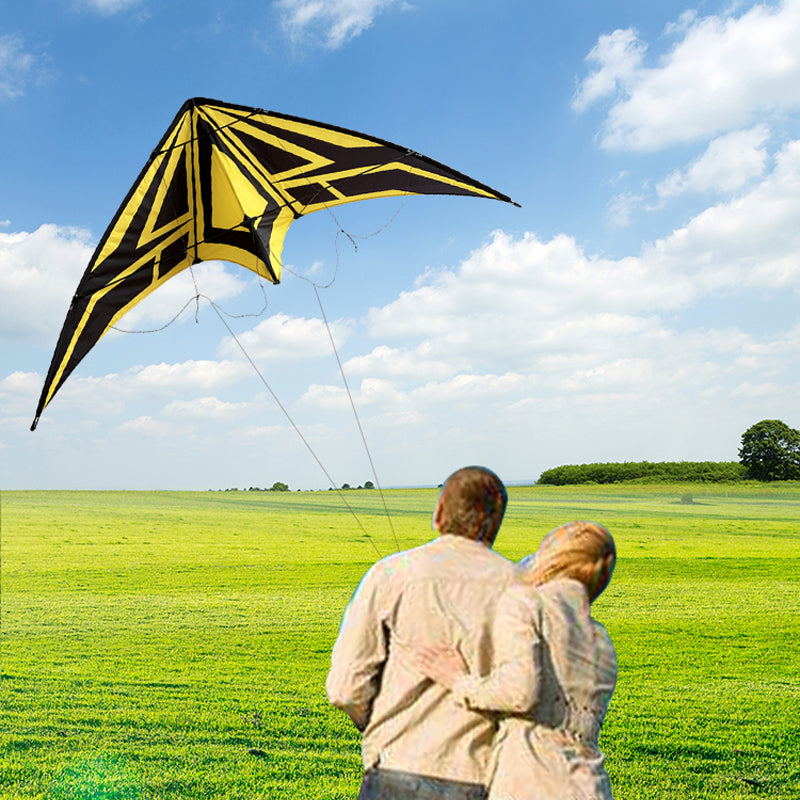 Outdoor Lawn Beach Double Line Competitive Kite, Adult Outdoor Game Sports Kite, Easy To Fly