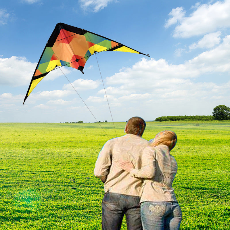 New Double Line Trick Kite Adult Outdoor Sports Kite Seaside Lawn Fun Kite with Kite Thread and Handle