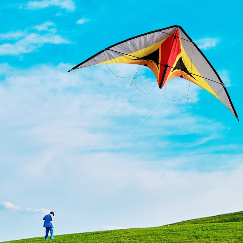 Double Line Triangular Kite Professional Level Sports Stunt Kite Beach Park Performance Kite Easy To Fly Suitable For Adults
