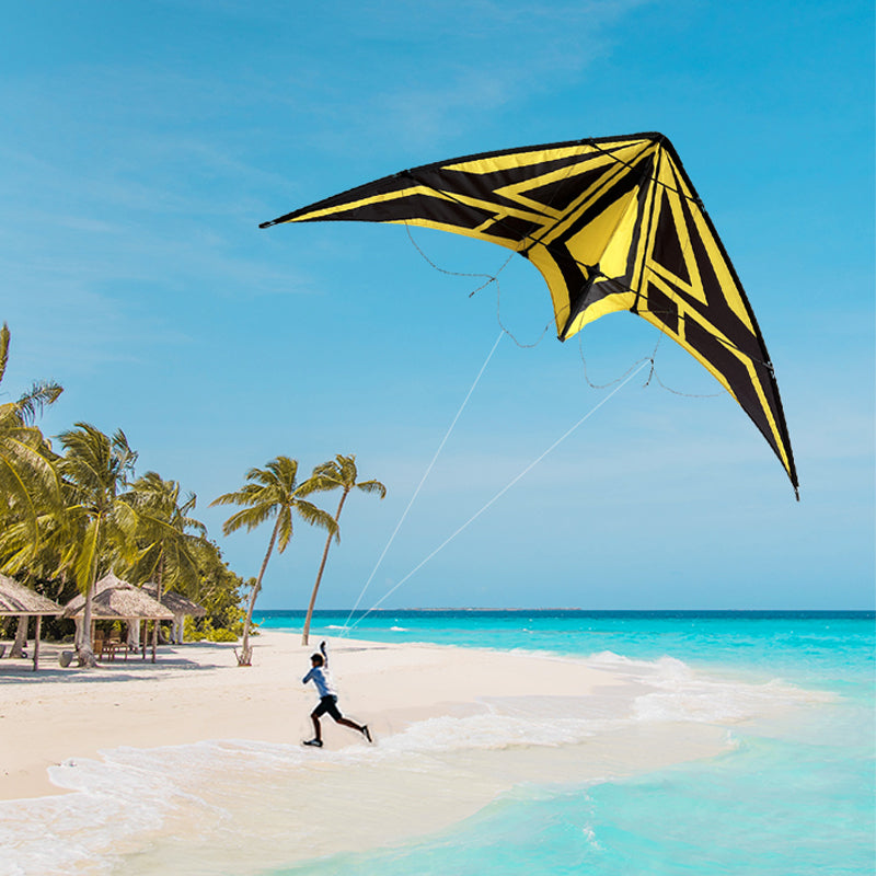 Outdoor Lawn Beach Double Line Competitive Kite, Adult Outdoor Game Sports Kite, Easy To Fly