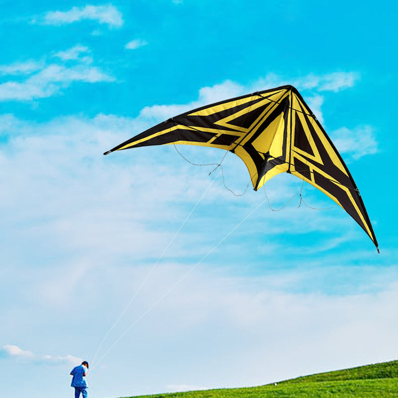 Outdoor Lawn Beach Double Line Competitive Kite, Adult Outdoor Game Sports Kite, Easy To Fly