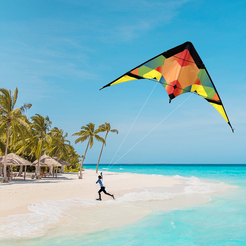 New Double Line Trick Kite Adult Outdoor Sports Kite Seaside Lawn Fun Kite with Kite Thread and Handle